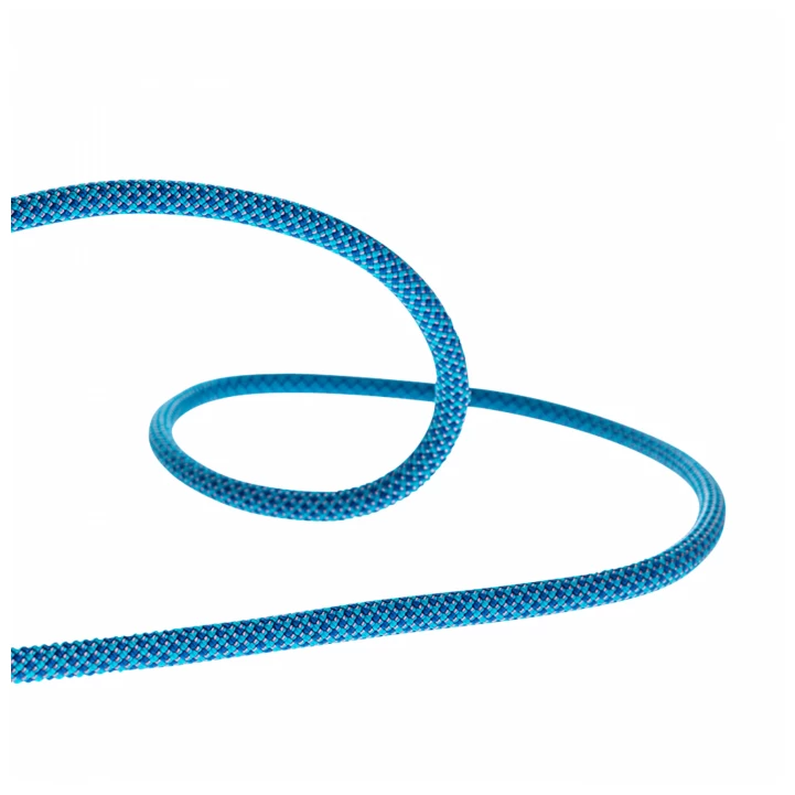 Beal Joker 9,1 Mm Golden Dry - Single Rope - Image 4