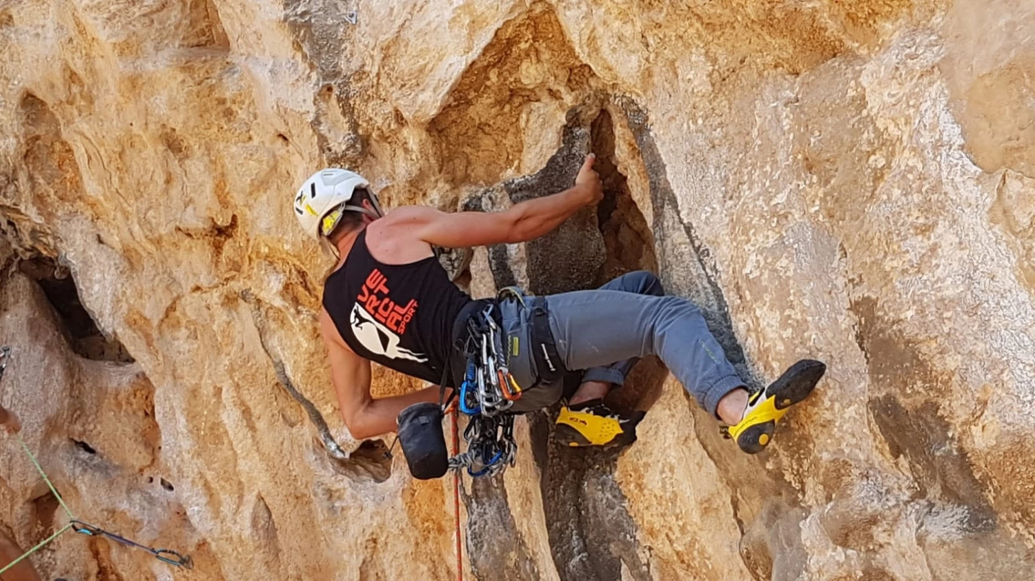 Beal Tiger 10 Mm Golden Dry - Single Rope - Image 2