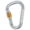 Edelrid Steel HMS Screw - Steel Carabiner
