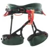 Wild Country Session - Climbing Harness